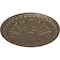 Ekena Millwork Raymond Ceiling Medallion (Fits Canopies up to 5 3/8"), Hand-Painted Warm Silver, 18"OD x 1 1/4"P CM18RA2WSS - alternate 2